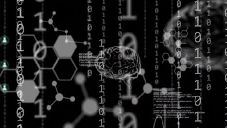 animación de cerebros humanos, codificación binaria y procesamiento de datos.