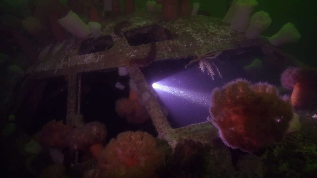 scuba diver explora la cabina del 737