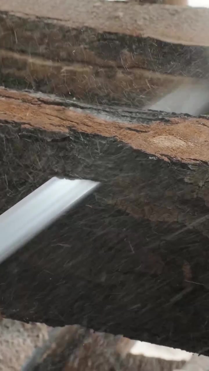 Industrial Band Saw Cutting Through a Large Log