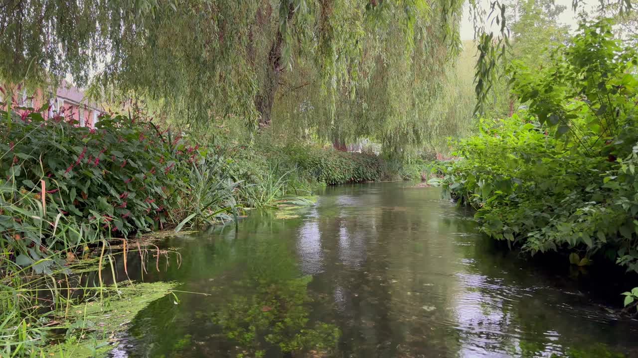 식물과 동물로 둘러싸인 윈체스터 파크의 작은 강 itchen backwater