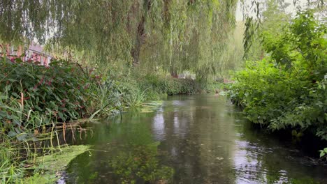 Kleiner-Fluss-Itchen-Im-Rückstau-Im-Winchester-Park,-Umgeben-Von-Flora-Und-Fauna