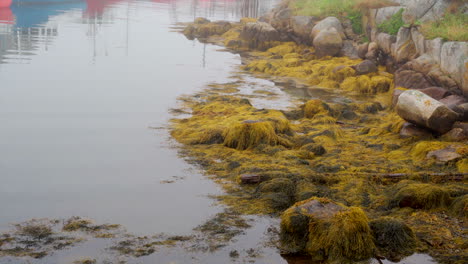 Ruhiges-Wasser-Am-Ufer-Einer-Bucht