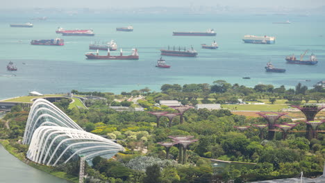 singapore's gardens by the bay and marina bay harbor