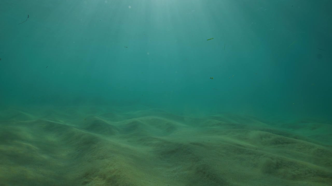 Sunlight filters through clear turquoise water above rippled sand on a shallow ocean floor, serene natural backdrop