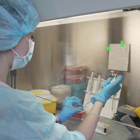 samples in biological laboratory. close up of scientist takes out one small test tube
