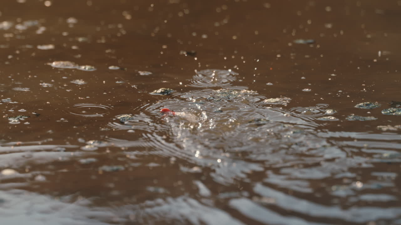 Slow motion of fishing line and bait in river water at golden hour, snapping tight and creating splashes and ripples when fish bites