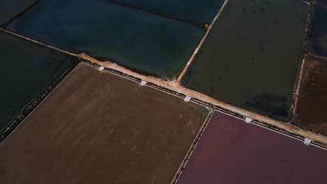 Colorful-Salinas-d'es-Trenc,-saline-saltworks-farming-on-island-Mallorca,-Spain