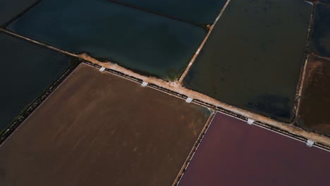 coloridas salinas d'es trenc, salinas salinas cultivadas en la isla de mallorca, españa