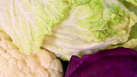 una vivace vetrina di verdure fresche e biologiche tra cui cavoli, cavolfiori e zucchine, evidenziando i loro colori e texture naturali