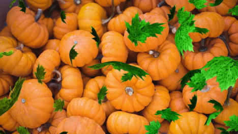 animación de las hojas de otoño que caen sobre el campo de calabazas