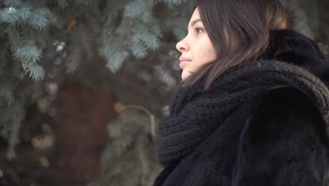 woman in winter landscape