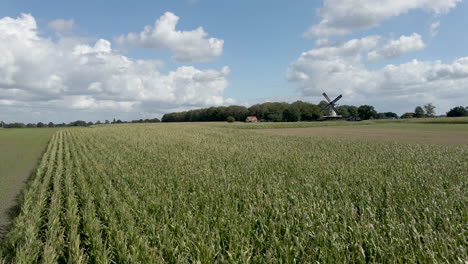 carro aéreo sobre campo de trigo con molino de viento en el fondo