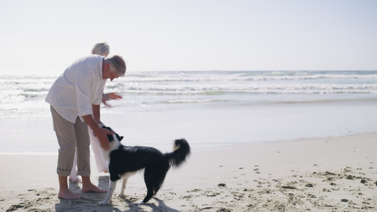 더 많은 여가시간, 더 많은 재미