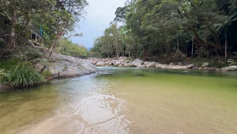 a serene river flows through lush rainforest, with gentle ripples and vibrant greenery under soft natural light