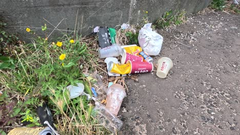 discarded food packaging, cans, and plastic bags lie on the ground near a concrete wall and wildflowers in daylight, captured with a static camera