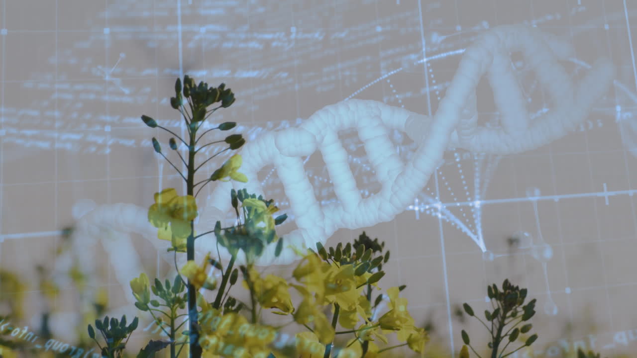 Yellow flower stems floating alongside glowing DNA helix, showing molecular grids and nodes