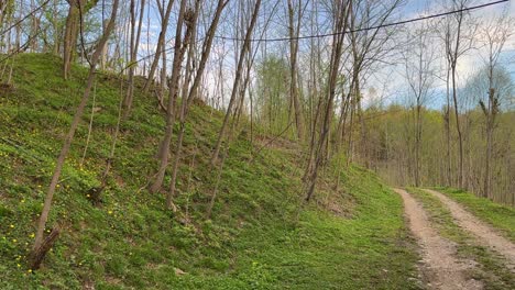 Malerische-Landwirtschaftslandschaft,-Straße-Im-Wald-Im-Iran,-Naher-Osten,-Asien-Im-Frühling-Bei-Sonnenuntergang,-Sonnenaufgang,-Morgen--Und-Nachmittagszeit,-Rampe,-Straße,-Erde-In-Ländlicher-Gegend,-Outdoor-Wanderausflugsaktivität