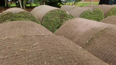 Grass-rolls-turf-close-up-pan-Rockies-Banff-Alberta-Canada