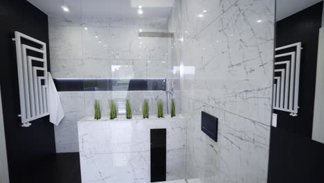 contemporary bathroom design - modern black and white bathroom