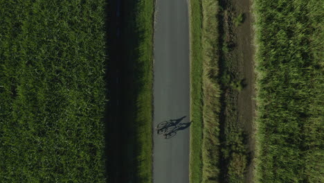 vista de pájaro de los ciclistas en una carretera proyectando sombras de ellos montando