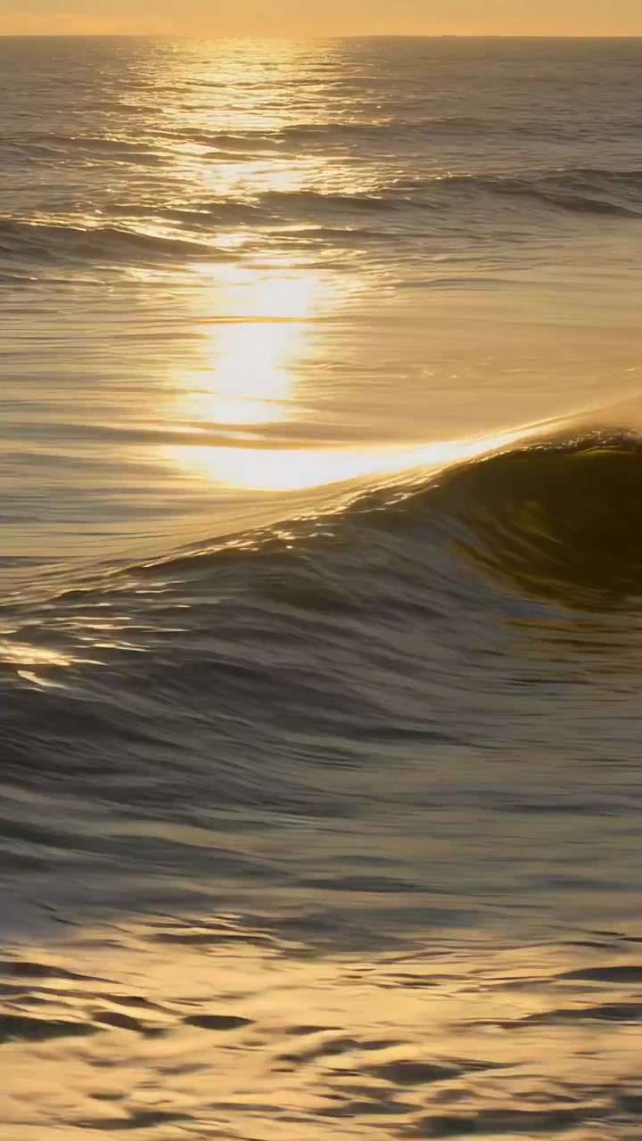 Video verticale: Catturando il luccichio del sole basso, l'onda dell'oceano si alza formando una cresta e schiuma che si infrange in mare.