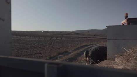 Old-man-collecting-rocks-in-tractor-cart-in-countryside