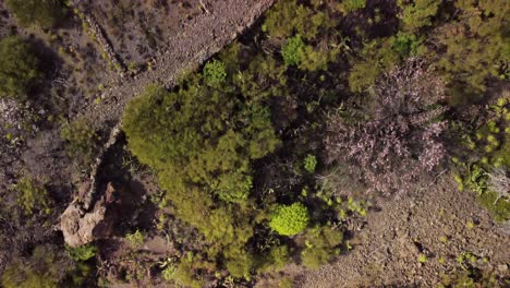 Top-down-aerial-shot-of-abandoned-agriculture-farmhouse,-Santiago-Del-Teide