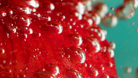 red apple slices with bubbles