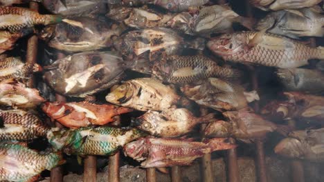 various sea fish grilled on traditional grill with smoke