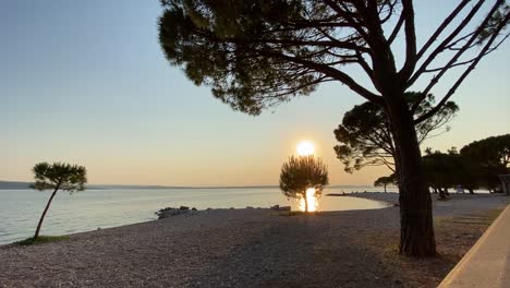 sunset on the seashore in front of pine trees, static shot, croatia