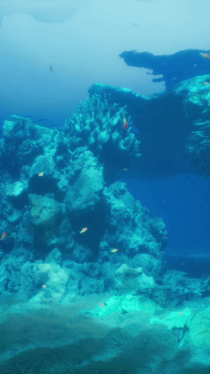 hermoso arrecife de coral submarino con peces tropicales