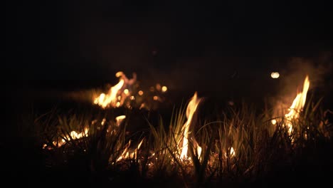 Incendio-Forestal-En-La-Noche