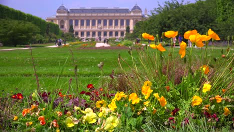 the paris natural history museum in a vast chateau with flowers and gardens foreground