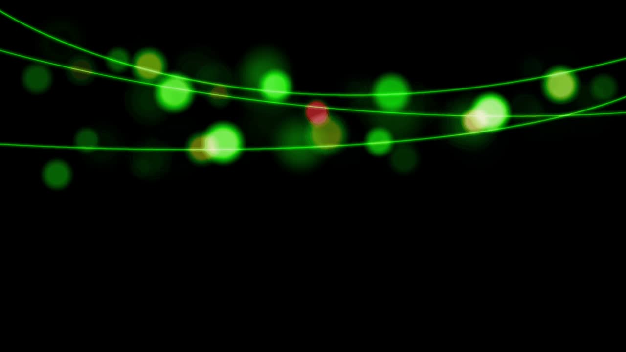 흑색 배경에 녹색 빛의 장미 프레임.