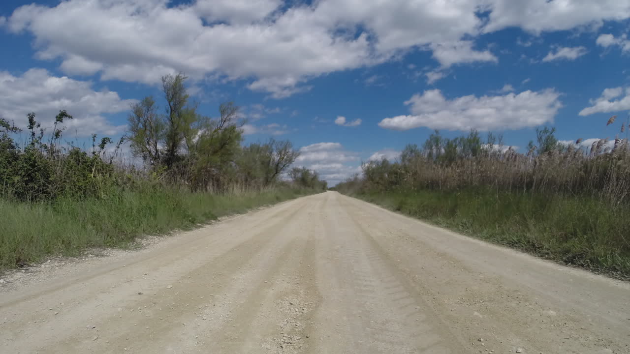 coche carmargue 4k 00