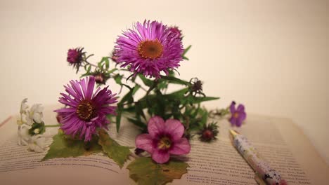 primer plano de flores y pluma en el libro
