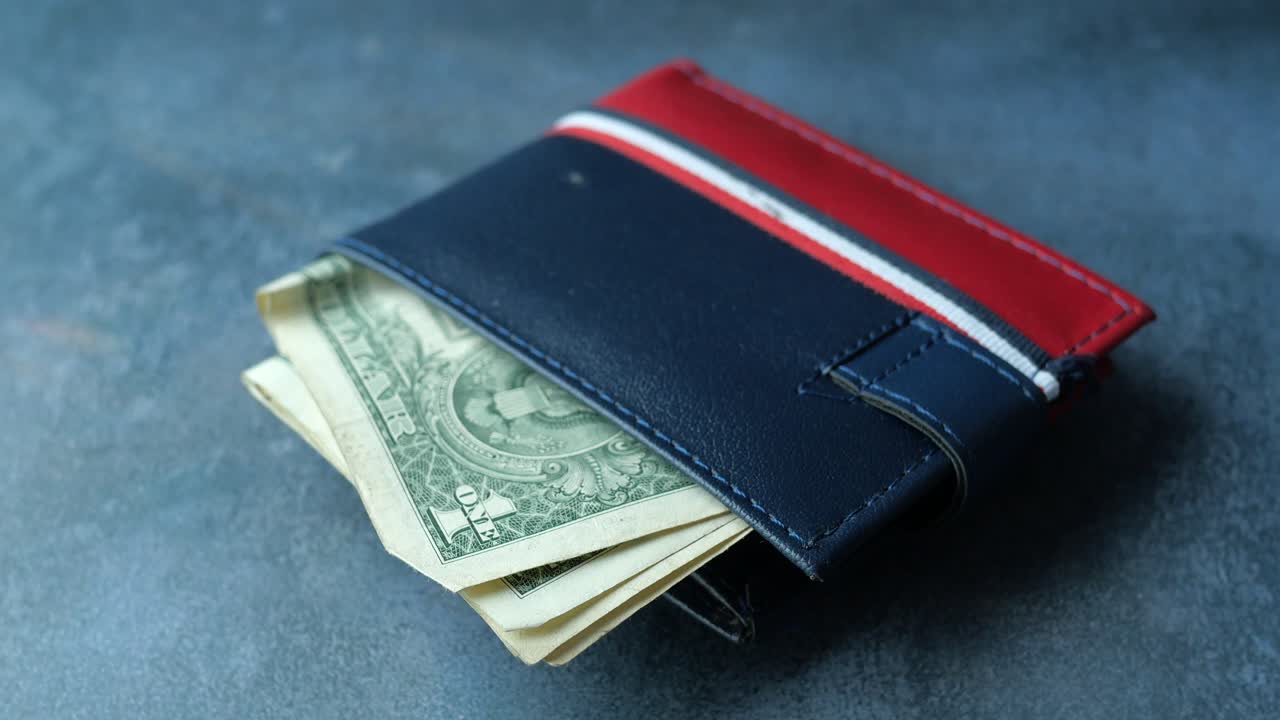 carteira com dólares americanos