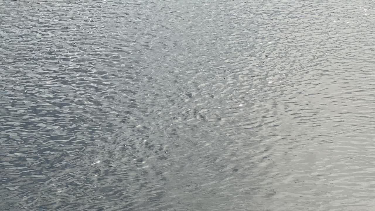 Surface water in the late afternoon with a bit of a shimmer on the sea. Cape Town, South Africa.
