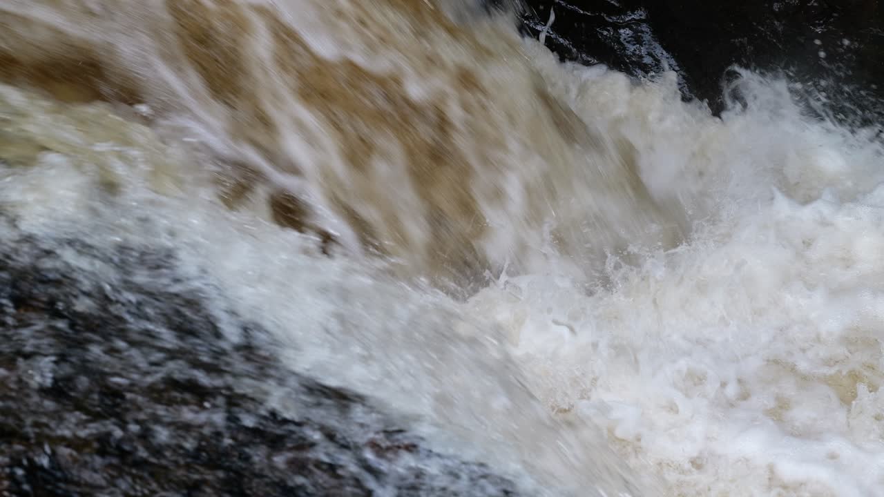 Salmon Jumping Waterfall