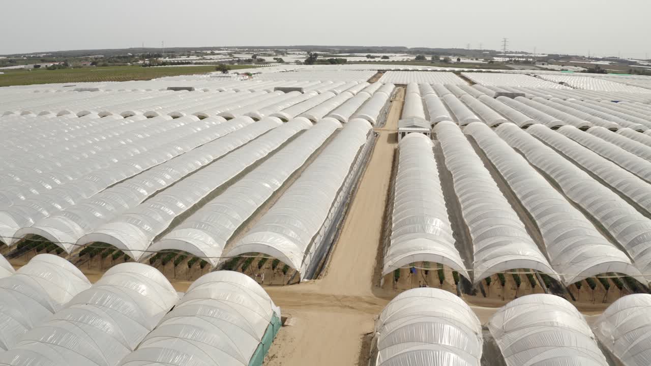 스페인의 대규모 온실 농장의 항공 영상