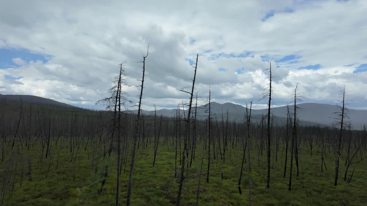 야쿠티아의 한 풍경의 아름다움을 목격하십시오. 튼튼한 자연이 극적인 하늘 아래 산불의 후유증과 대조되는 곳입니다.