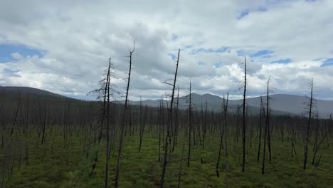 Erleben-Sie-Die-Raue-Schönheit-Der-Landschaft-Jakutiens,-Wo-Die-Widerstandsfähige-Natur-Unter-Einem-Dramatischen-Himmel-Mit-Den-Folgen-Der-Waldbrände-Kontrastiert