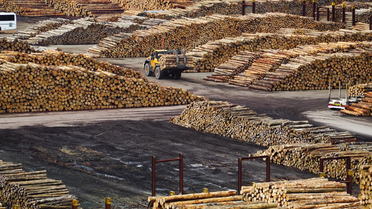 제재소 마당에 있는 더미에서 통나무를 운반하는 휠 로더