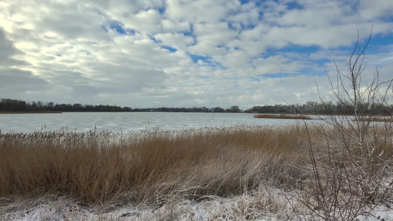 Lago ghiacciato in una soleggiata giornata invernale con canne in primo piano e cielo nuvoloso. Ripresa grandangolare.