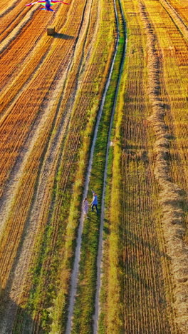 Loving couple with a flying kite in nature. Man and woman holding hands together and walking on the brown field. Lovers with a bright kite outdoors. Vertical video