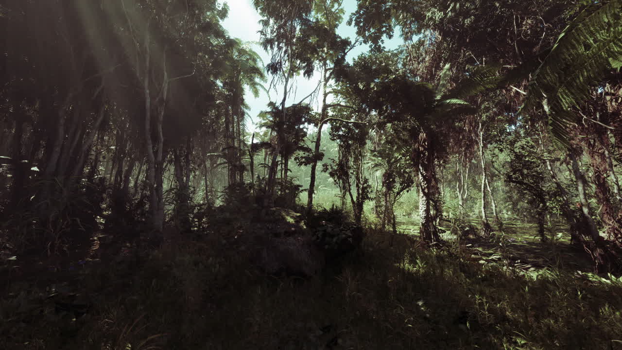 rayos de sol a través de la exuberante jungla tropical