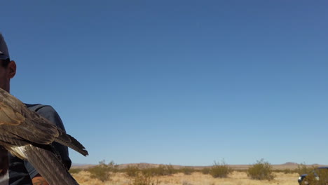 Young-Man-Falconer-Holds-Domesticated-Falcon-Hawk-for-Training-Session