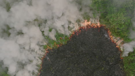 aerial top down footage of a forest fire burning in rural sierra leone in slow motion