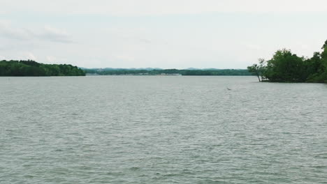 wildlife scene and nature surroundings of long hunter state park in tennessee, usa