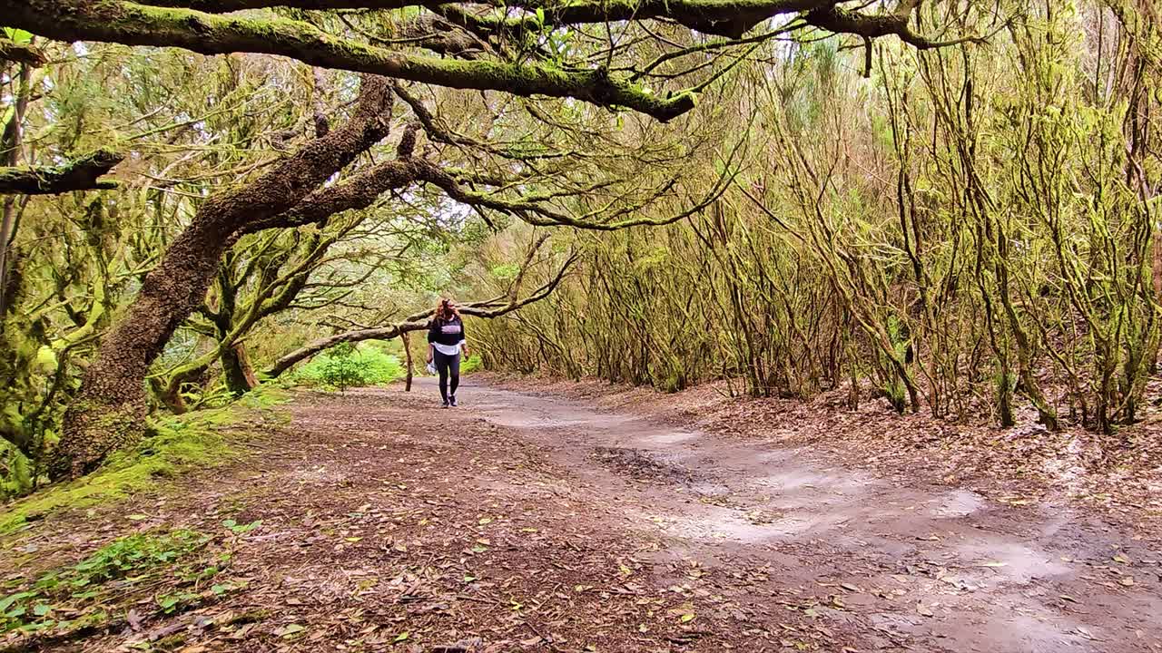 A person walking down a scenic trail in Anaga, Spain, surrounded by lush trees